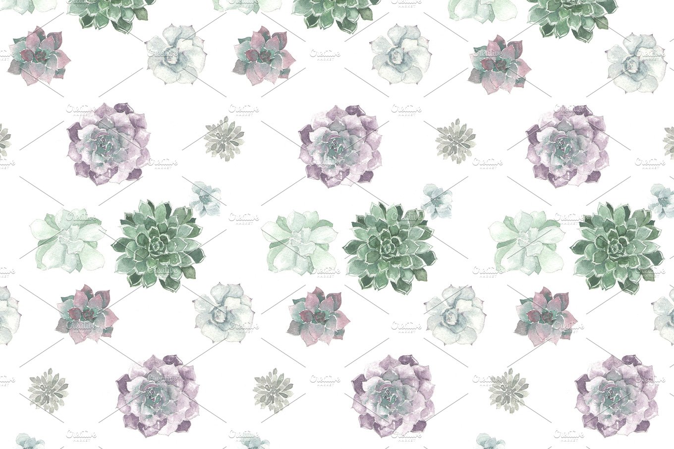 Pattern of succulents on a white background.