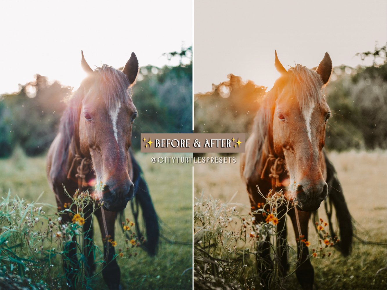 rustic autumn fall wedding portrait lifestyle outdoor country rural photography indoor cozy warm tones 4 726