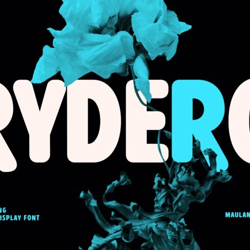 Rydero Soft Sans Display Font cover image.