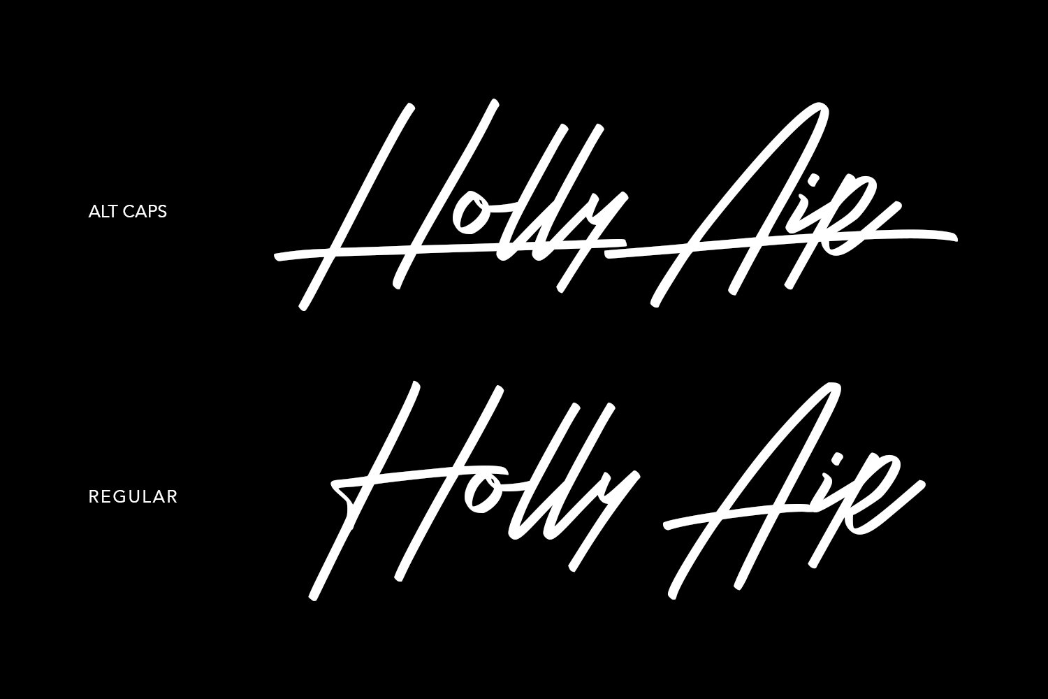 Ryland Heights Signature Script Font preview image.