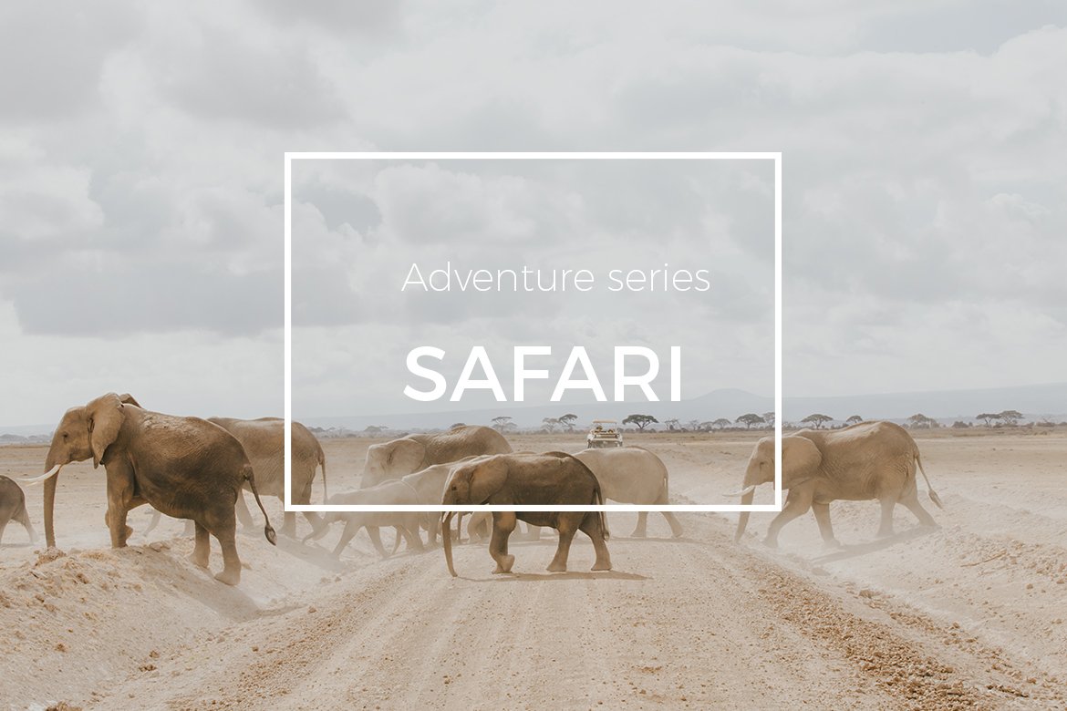 Adventure Series: Safari LR Presetcover image.