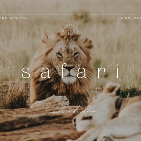 5 Safari Lightroom Presetscover image.