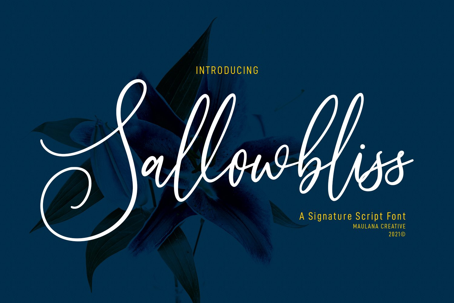 Sallowbliss Cursive Script Font cover image.