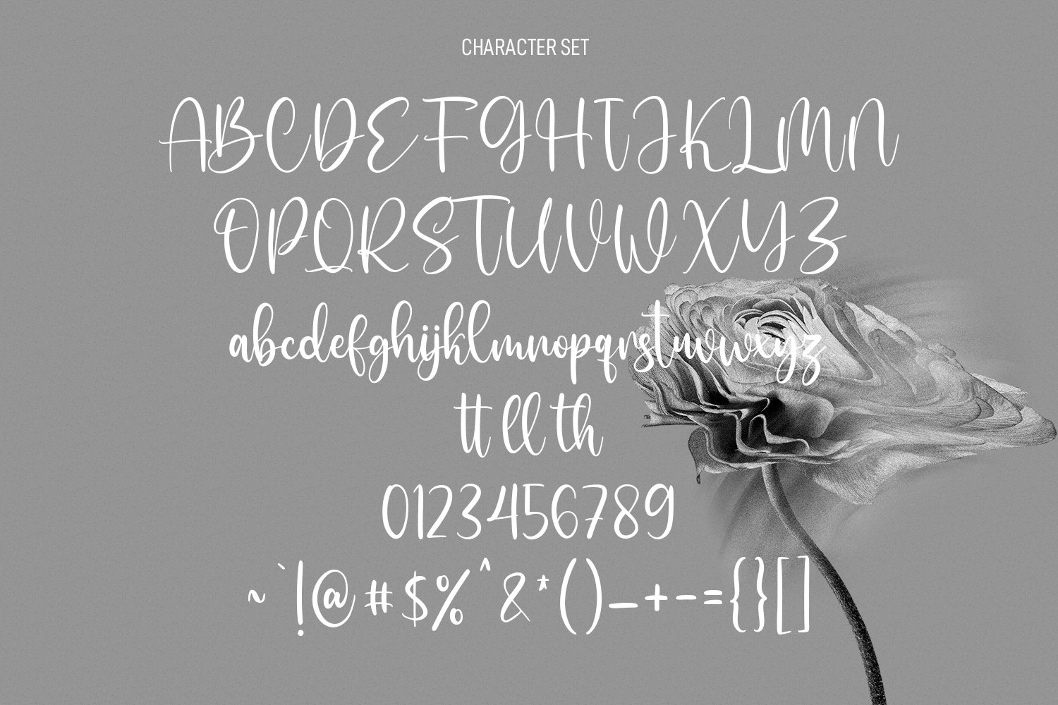 sallutos signature script font 8 739