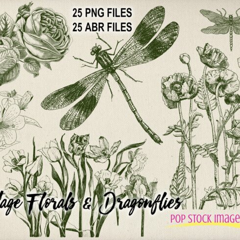 Vintage Floral & Dragonflies Brushescover image.