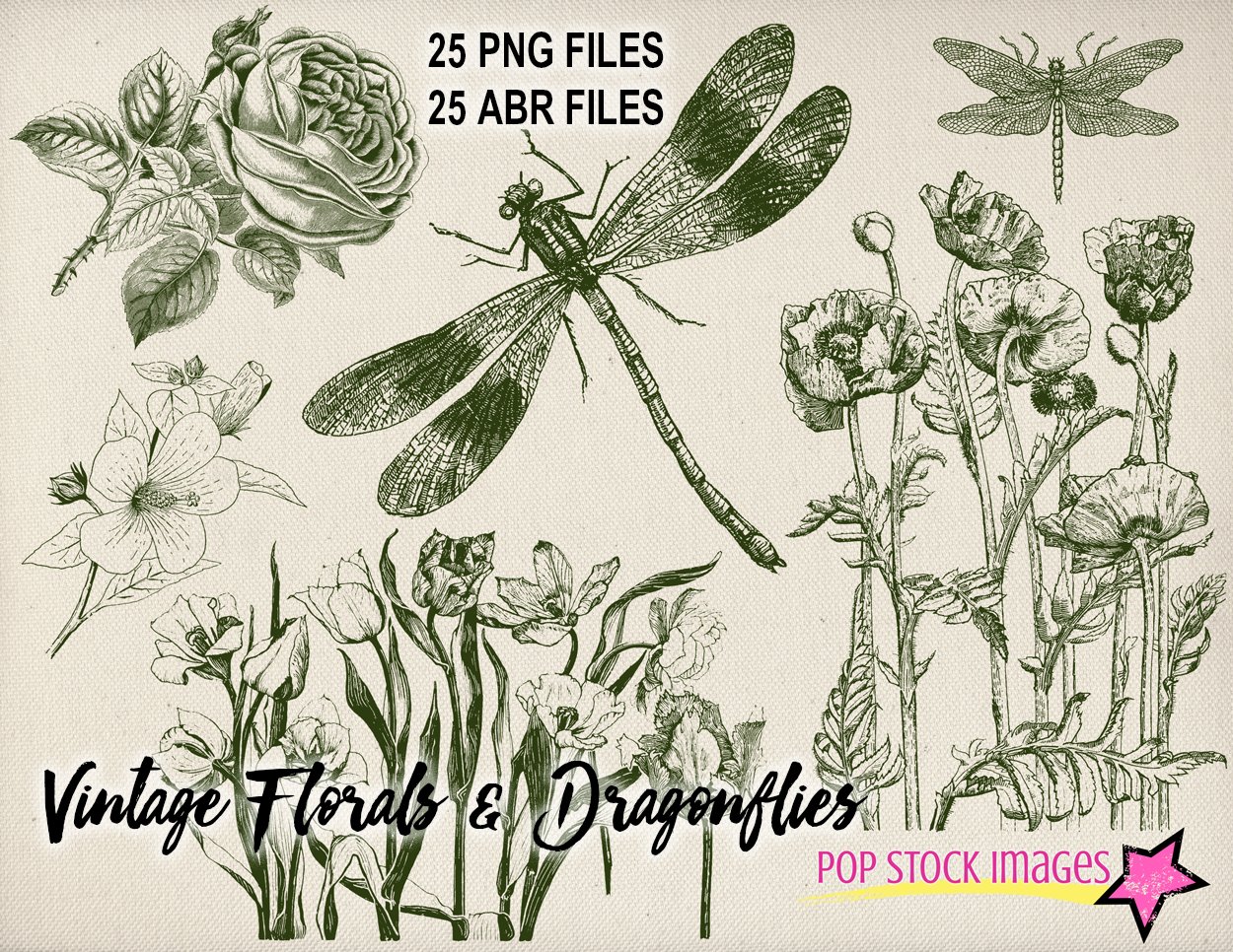 Vintage Floral & Dragonflies Brushescover image.