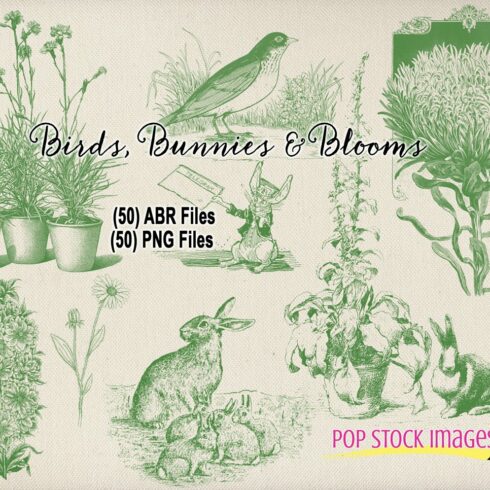 Birds, Bunnies & Blooms Brushes Setcover image.