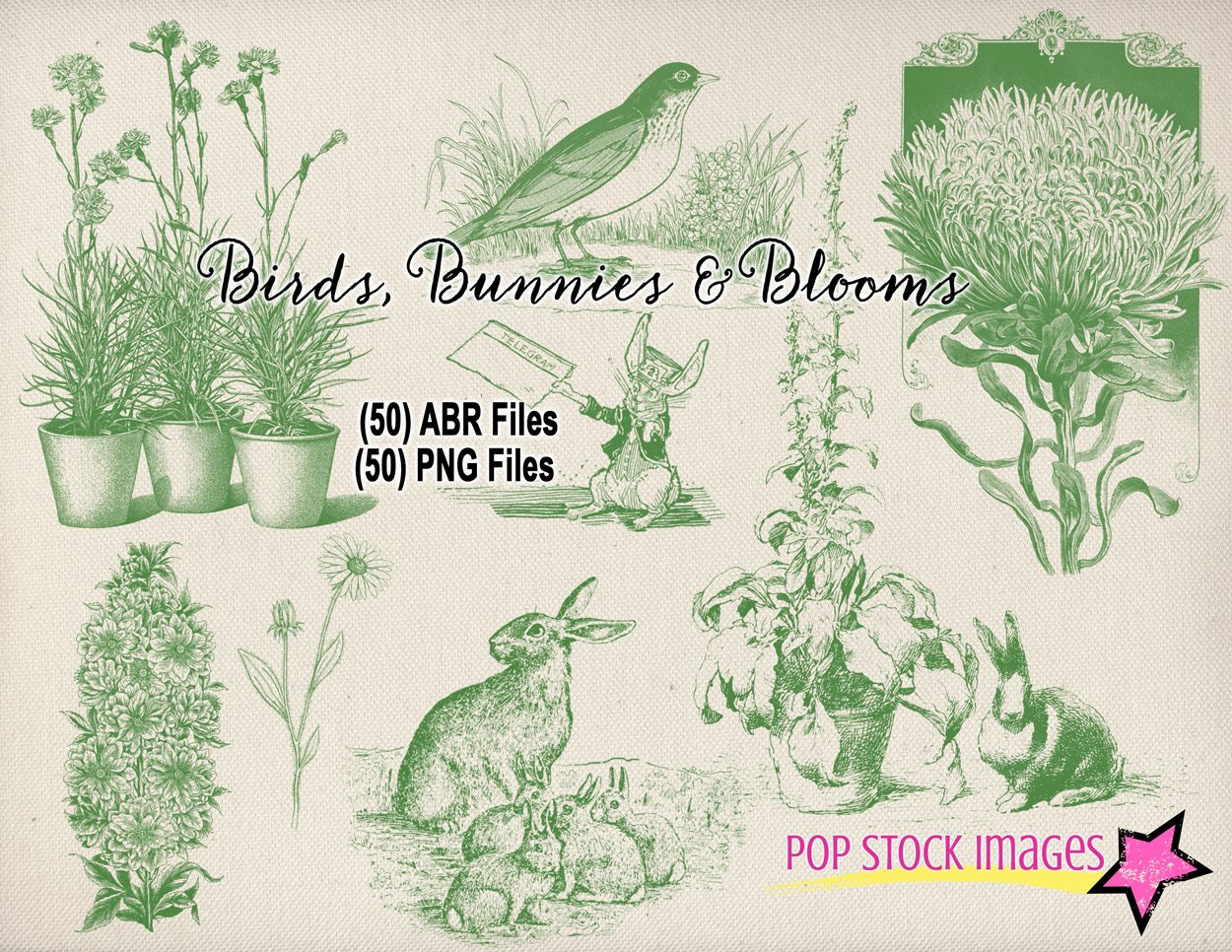 Birds, Bunnies & Blooms Brushes Setcover image.