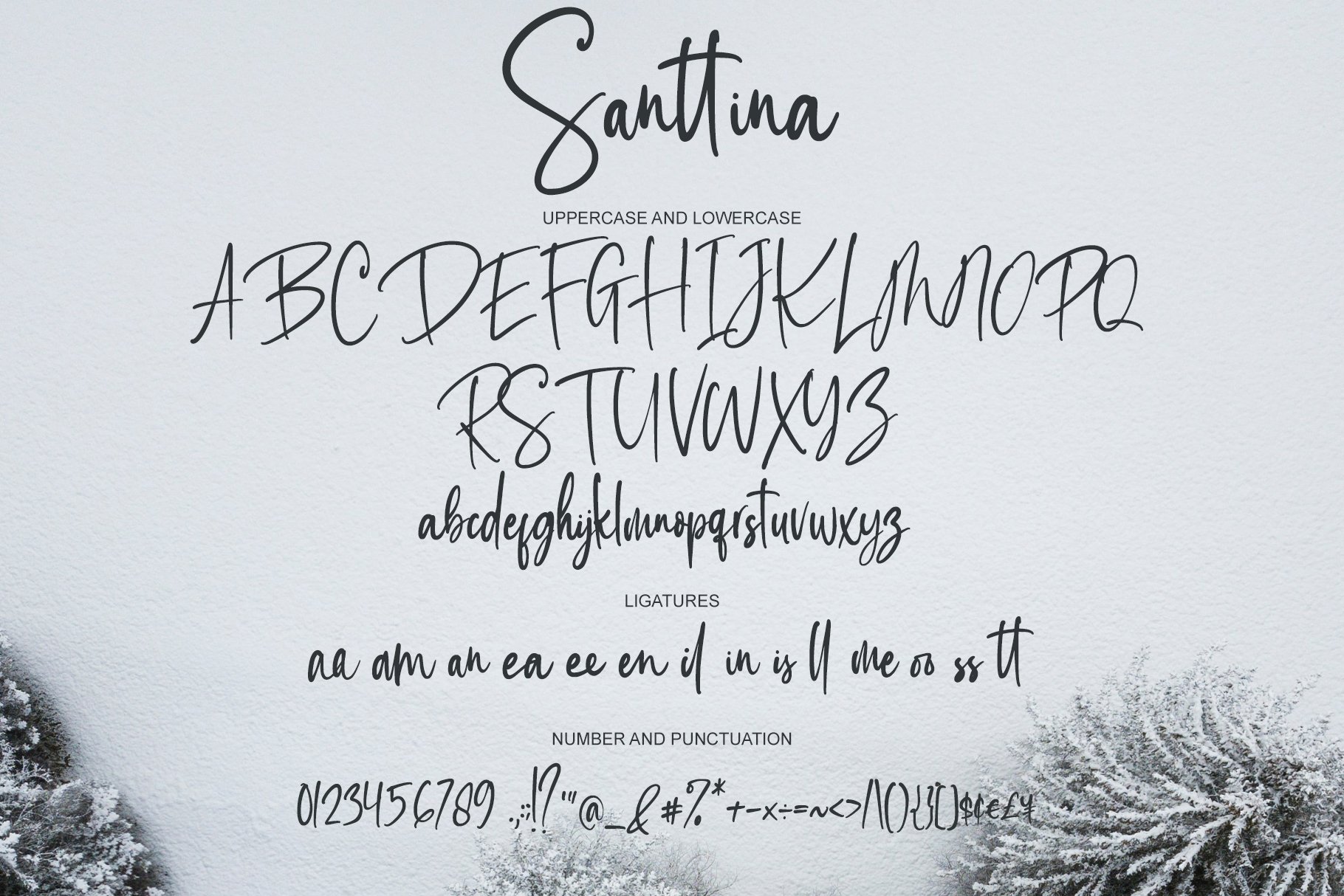 santtina stylish handwritten font by agung rohmat alphart preview8 756