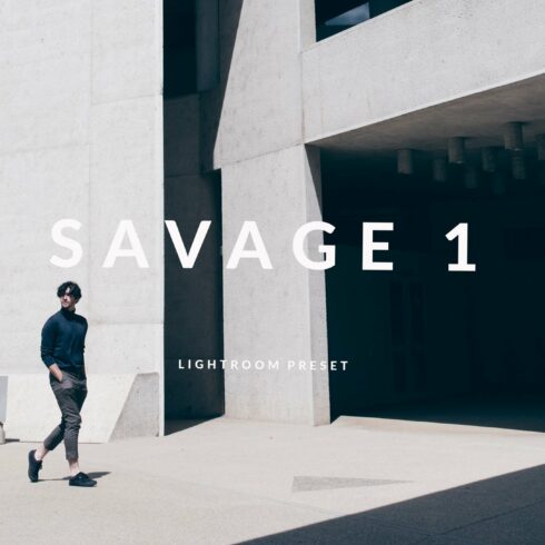 SAVAGE // S1 Lightroom + ACR Presetcover image.
