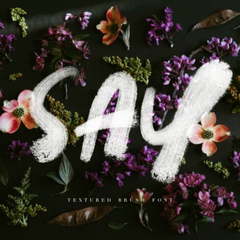 SAY | TEXTURED BRUSH FONT cover image.