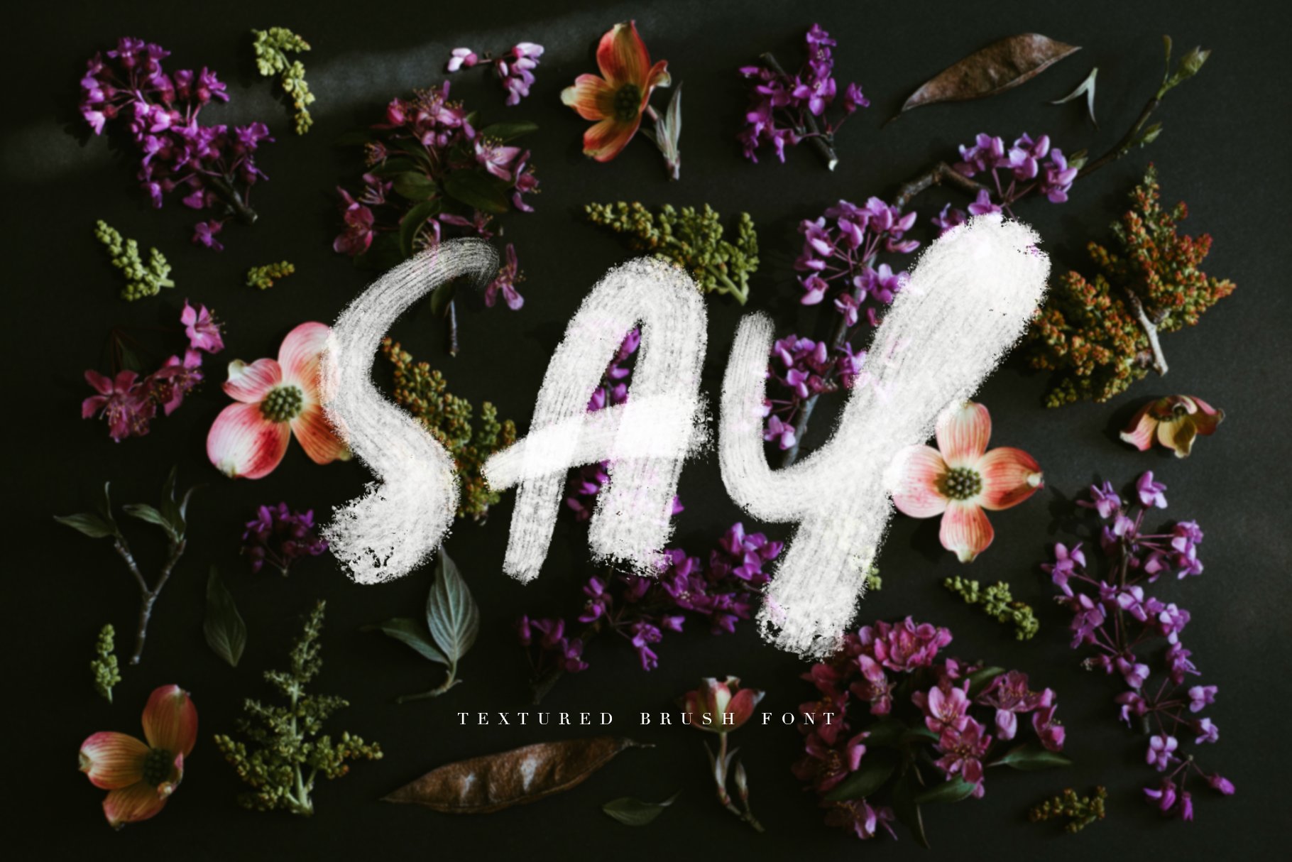 SAY | TEXTURED BRUSH FONT cover image.