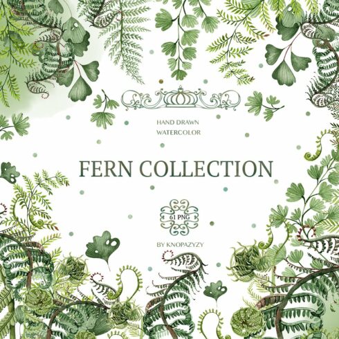 Watercolor  Fern Collection cover image.