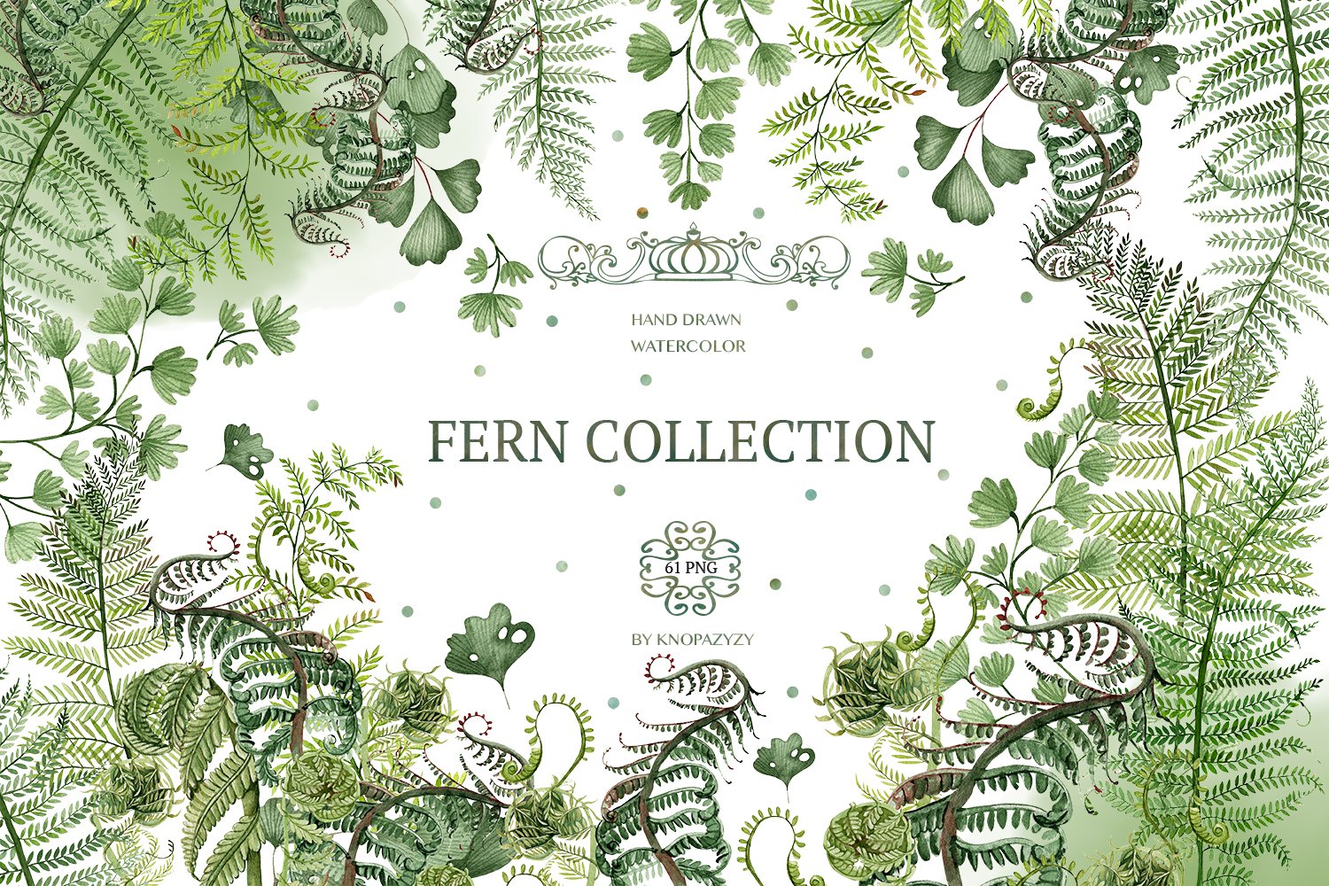 Watercolor  Fern Collection cover image.