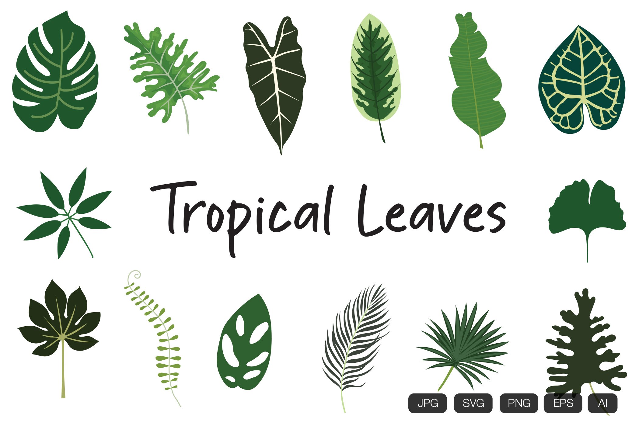 Collection of tropical leaves.