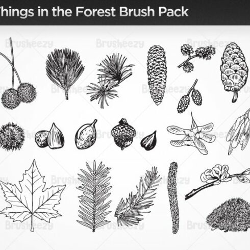 Things in the Forest Brushescover image.
