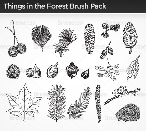 Things in the Forest Brushescover image.