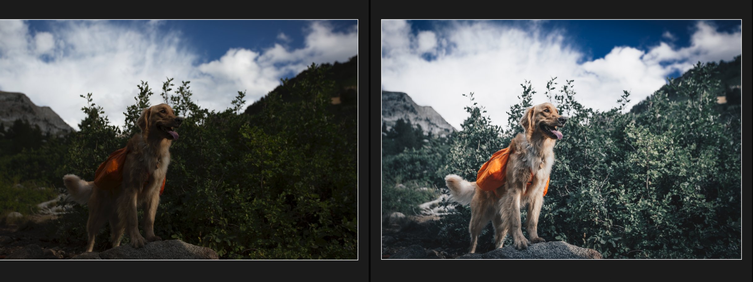 Silver Lake Lightroom Presetpreview image.