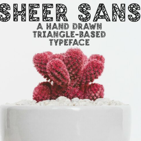 SHEER SANS Hand Drawn Typeface cover image.