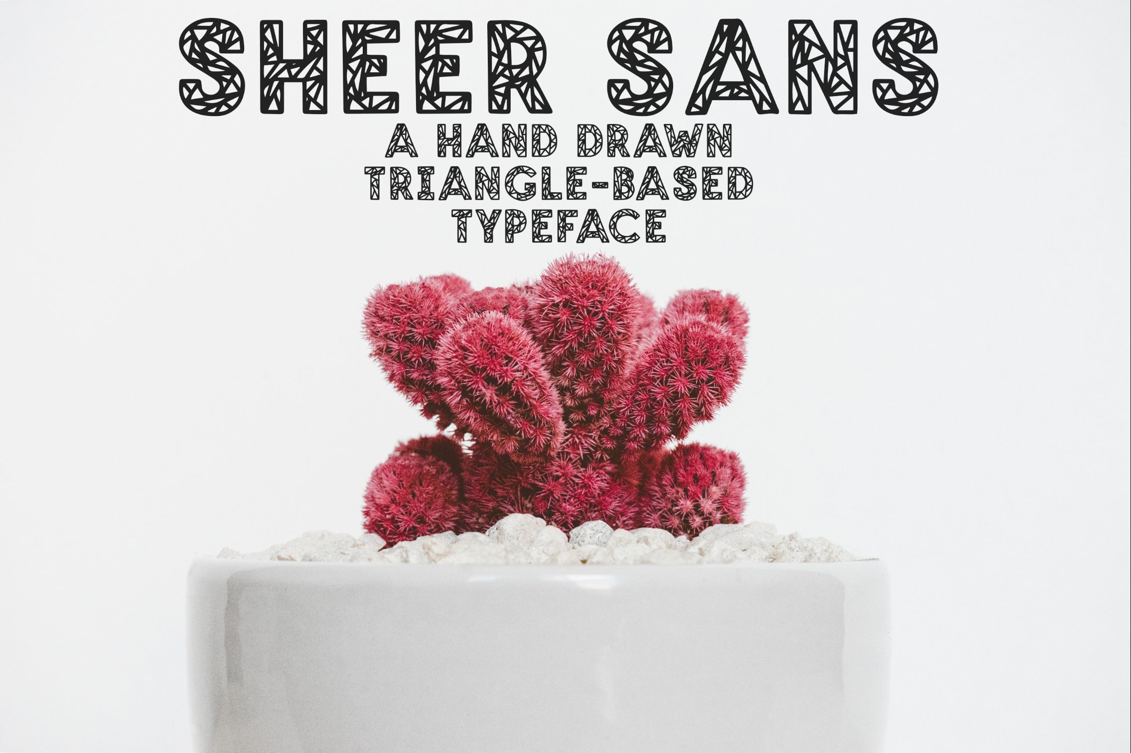 SHEER SANS Hand Drawn Typeface cover image.