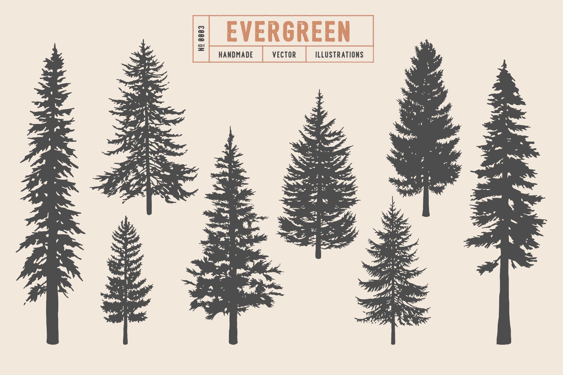 Set of different types of evergreen trees.