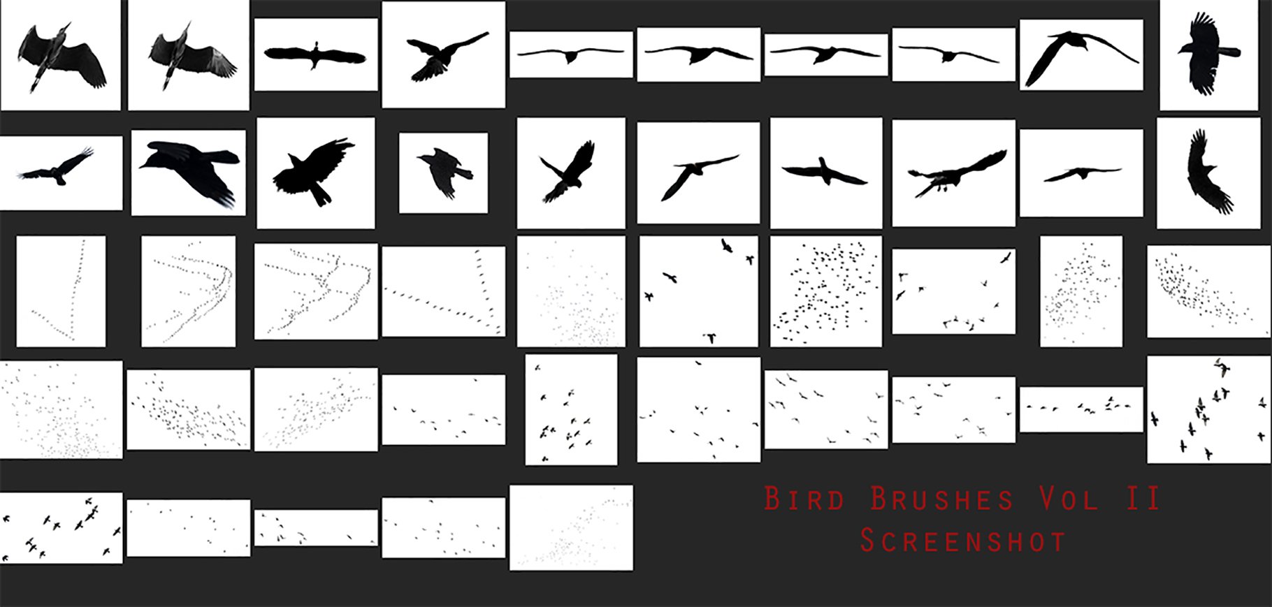 Bird Brushes Vol IIpreview image.