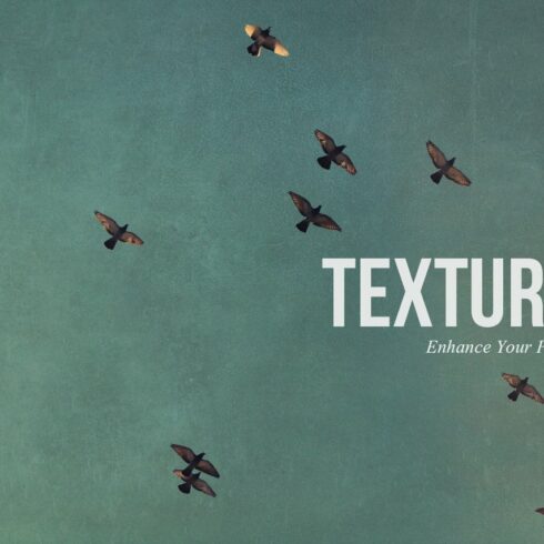 Texturizecover image.