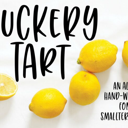 Puckery Tart: a tasty lettering font cover image.