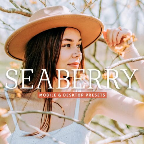 Seaberry Pro Lightroom Presetscover image.