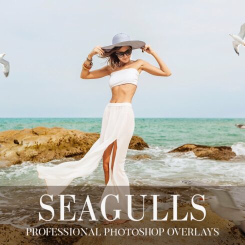 Seagulls Overlays Photoshopcover image.