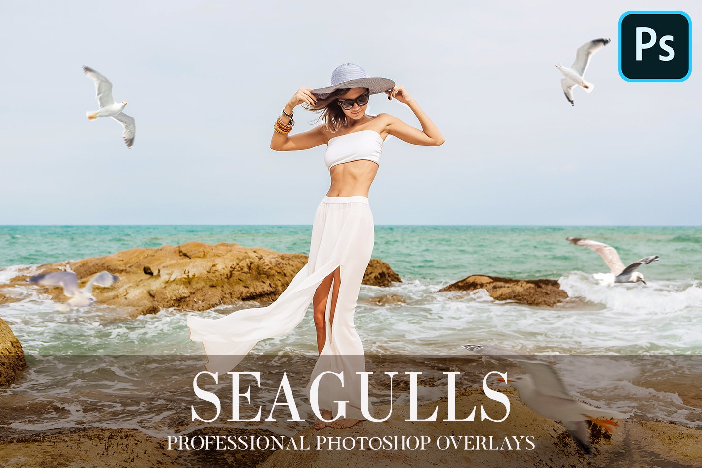 Seagulls Overlays Photoshopcover image.