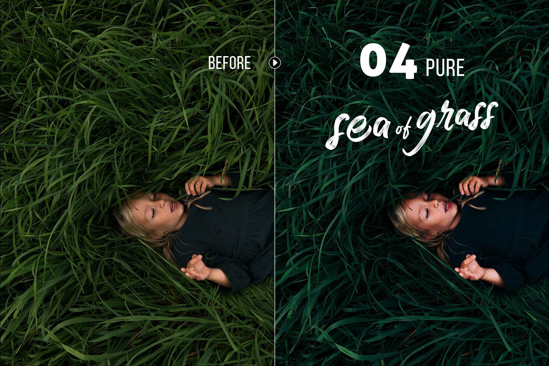 seaofgrass preview 04 245