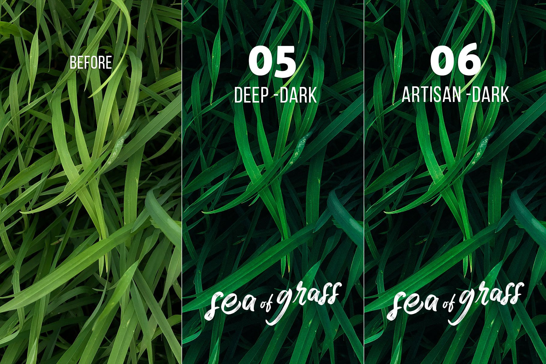 seaofgrass preview 06 606