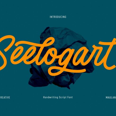 Seelogart Script Font cover image.