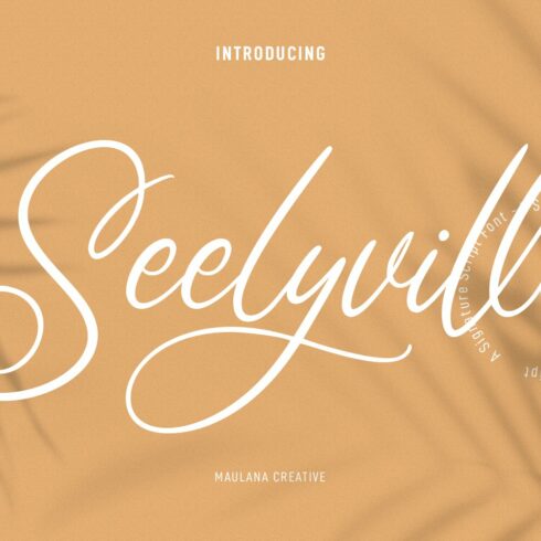 Seelyville Beauty Script Font cover image.