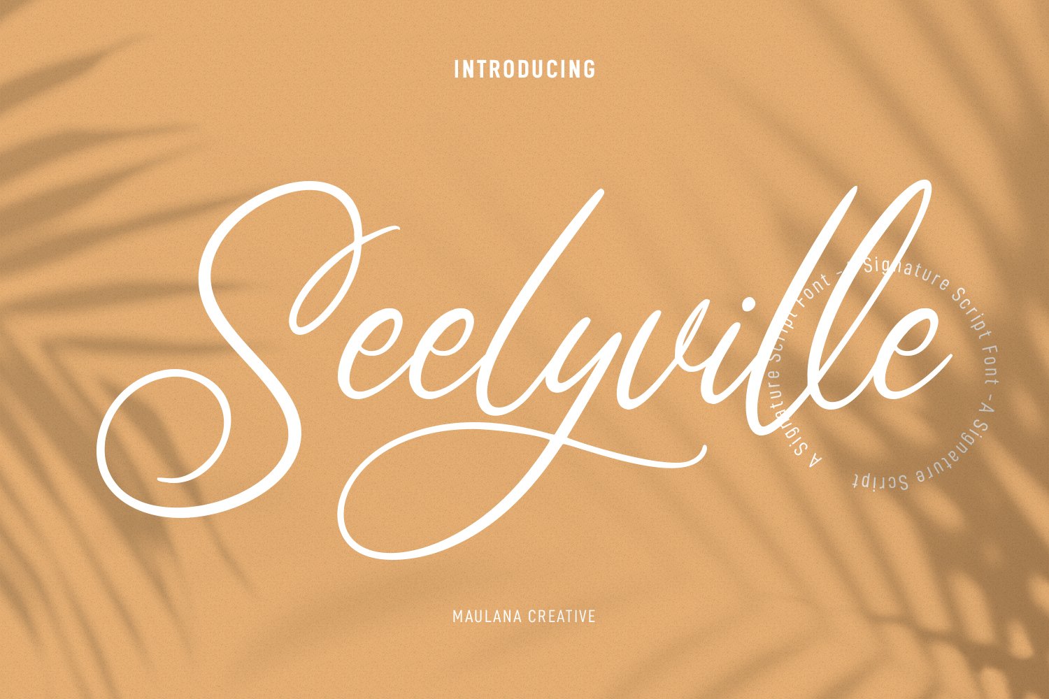 Seelyville Beauty Script Font cover image.