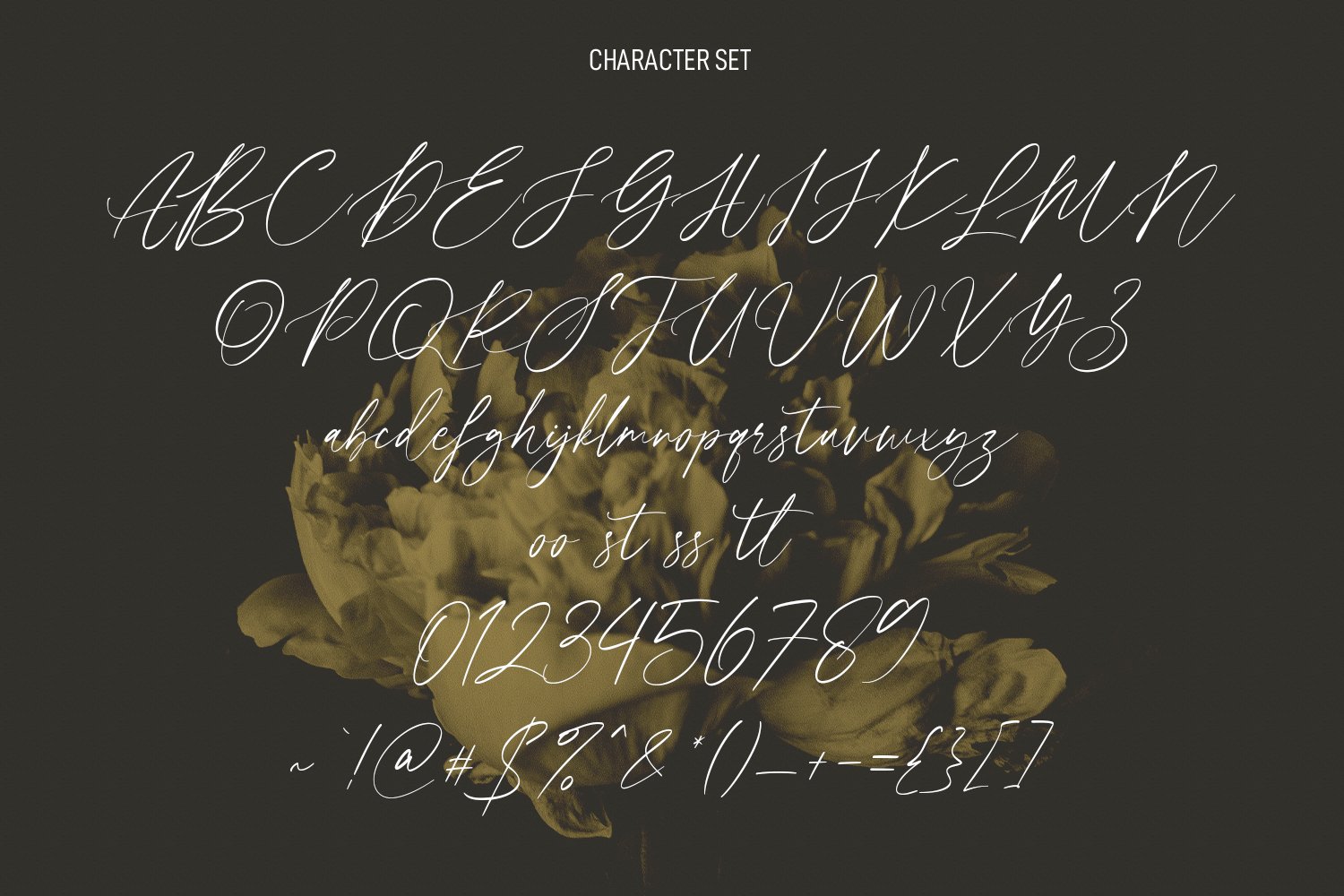 seillamikha feminine script font 8 778