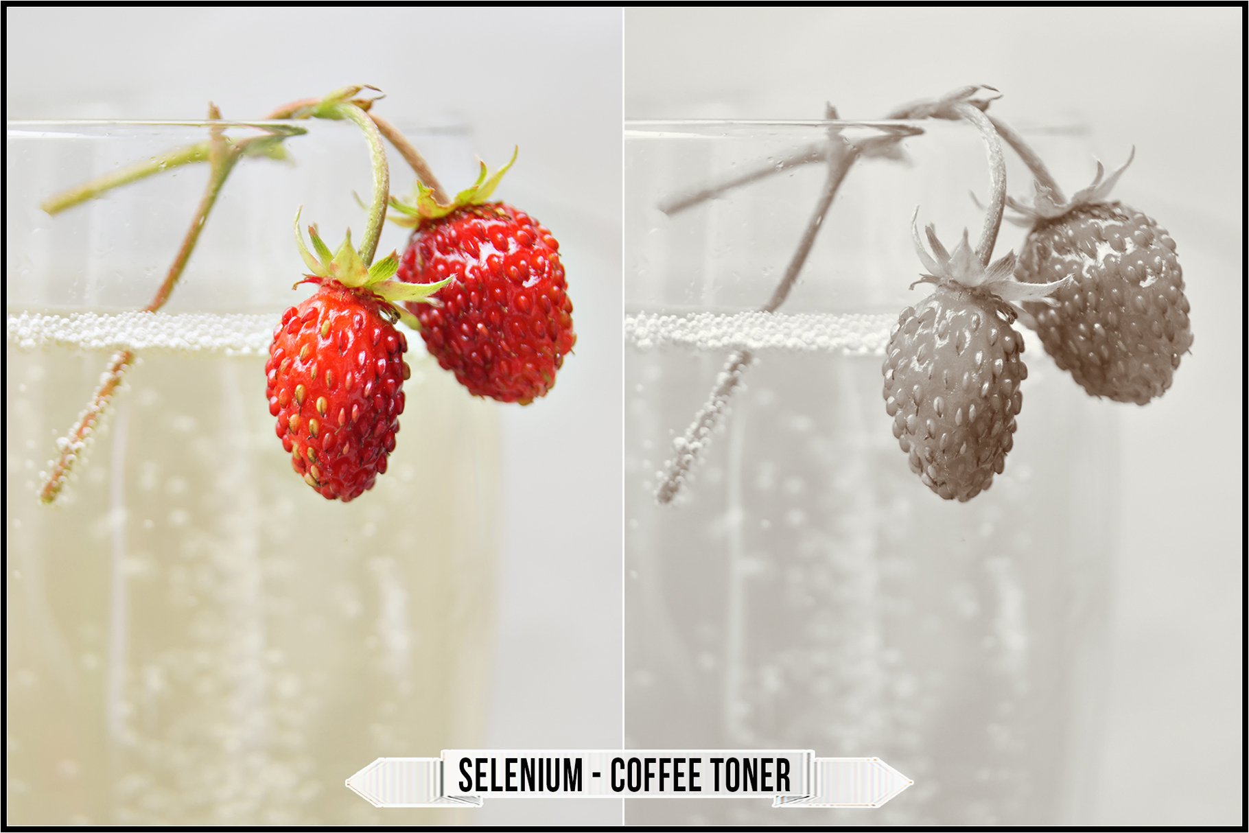 selenium coffee toner 113