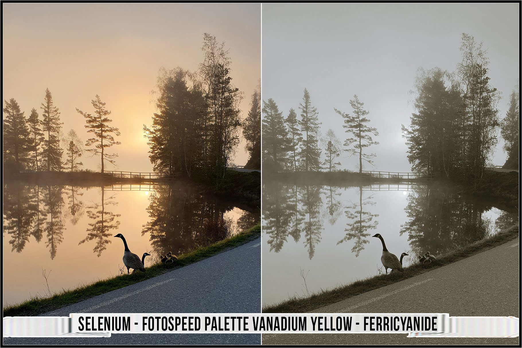 selenium fotospeed palette vanadium yellow ferricyanide 279