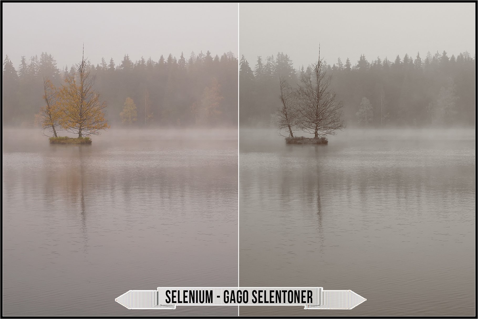 selenium gago selentoner 402