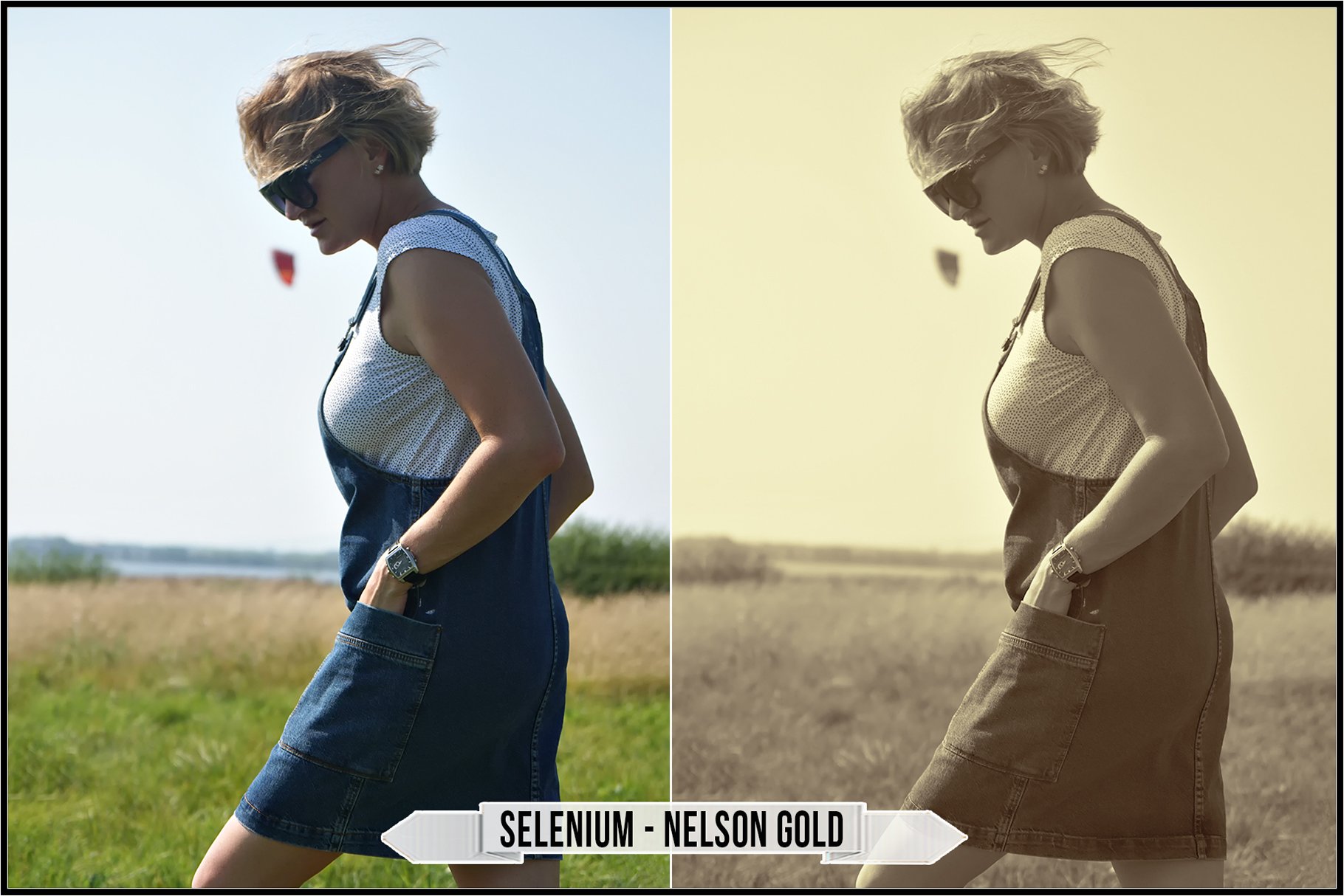 selenium nelson gold 753