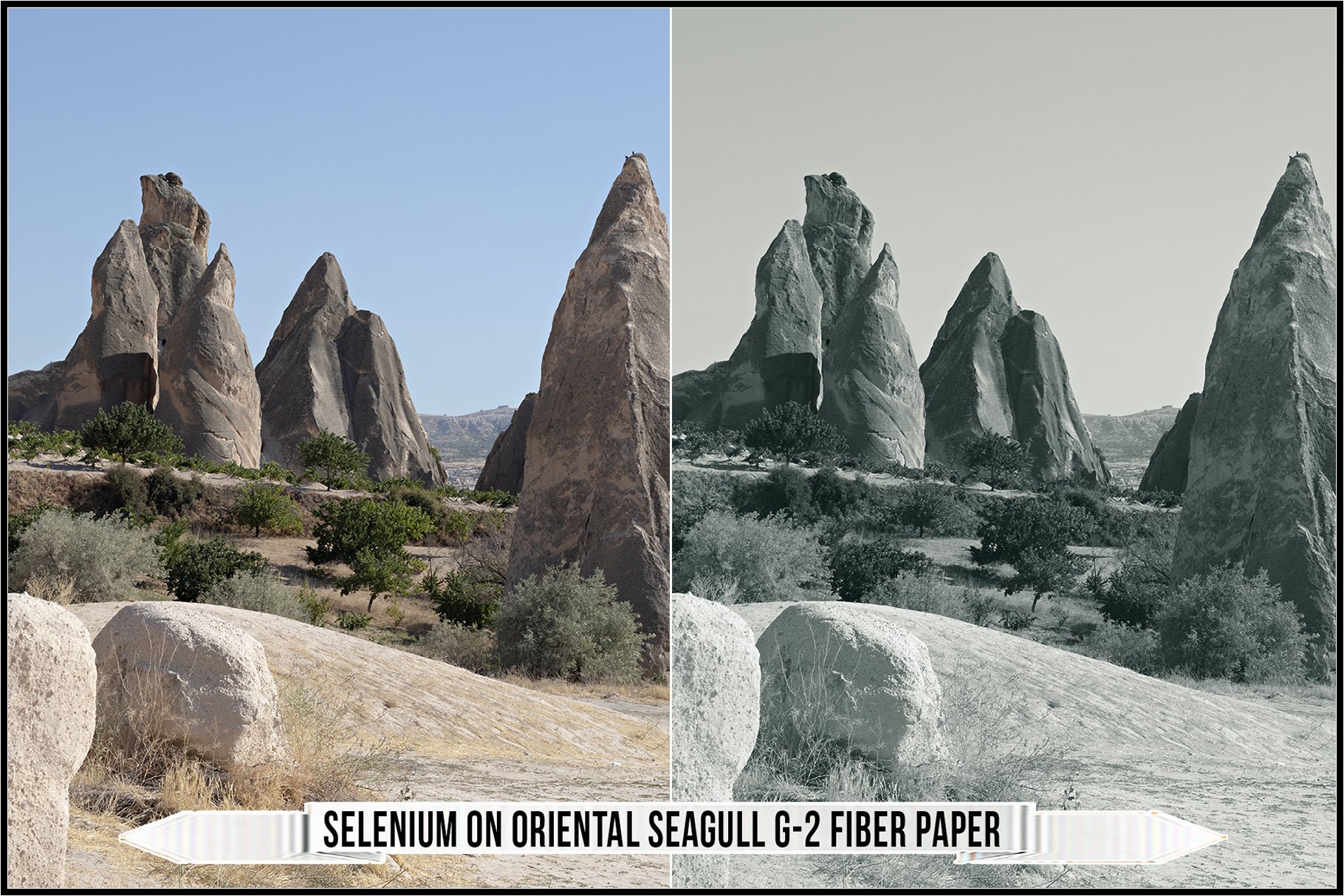 selenium on oriental seagull g 2 fiber paper 366