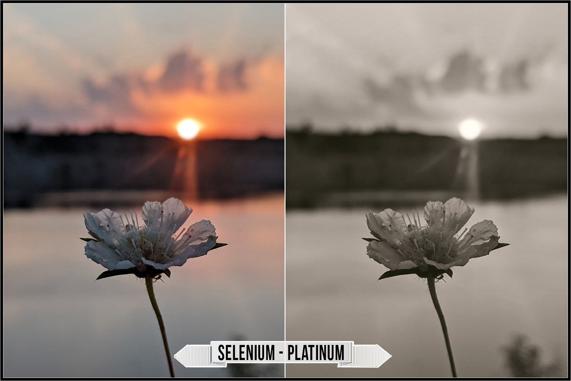 selenium platinum 868