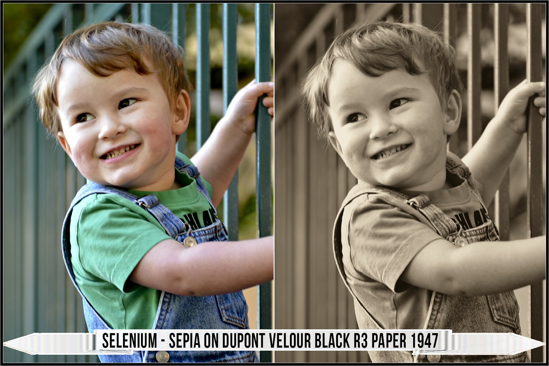 selenium sepia on dupont velour black r3 paper 1947 477