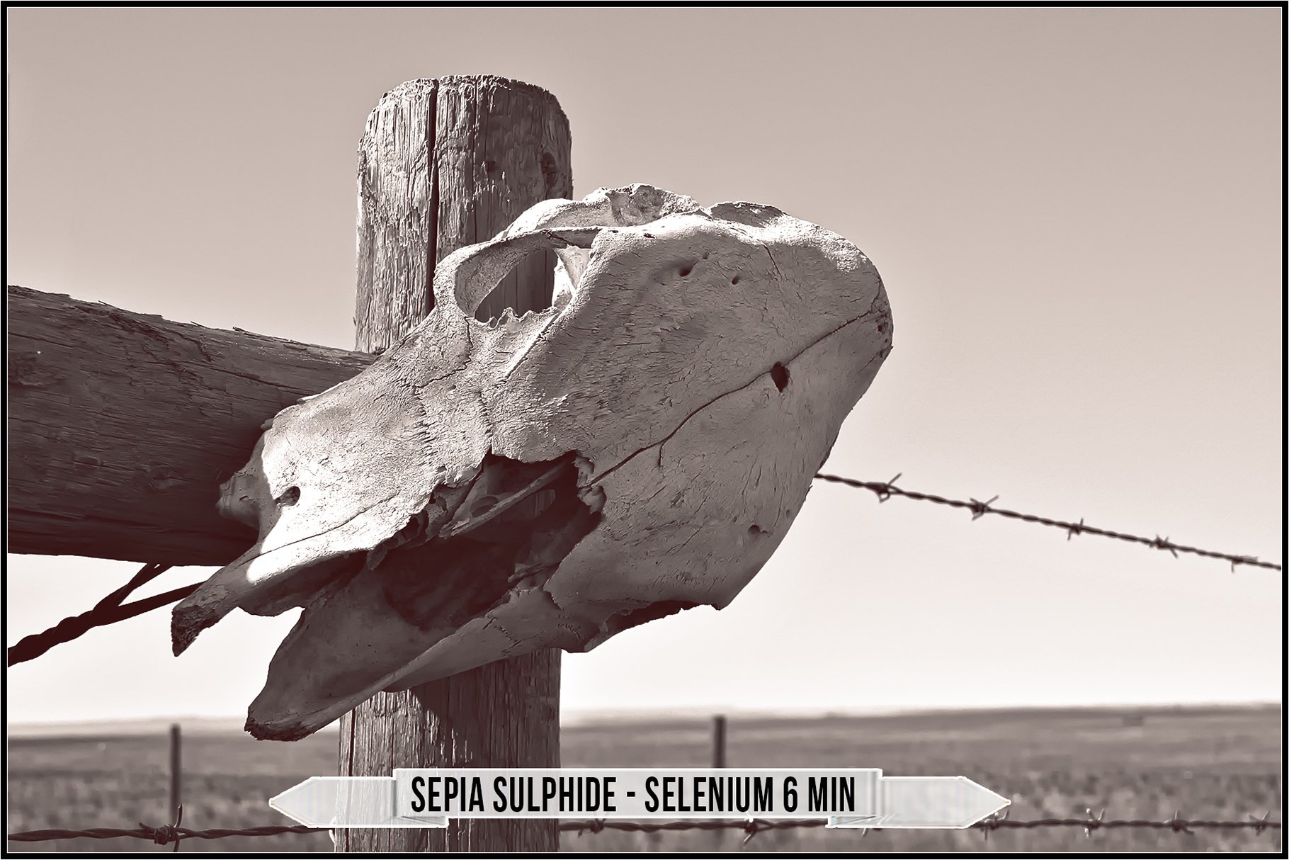 sepia sulphide selenium 6 min 17