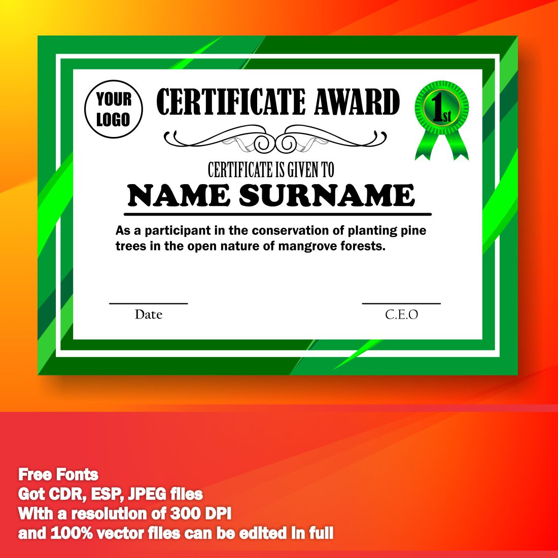 Template Certificate preview image.