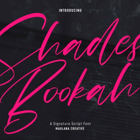 Shades Bookah Script Font cover image.