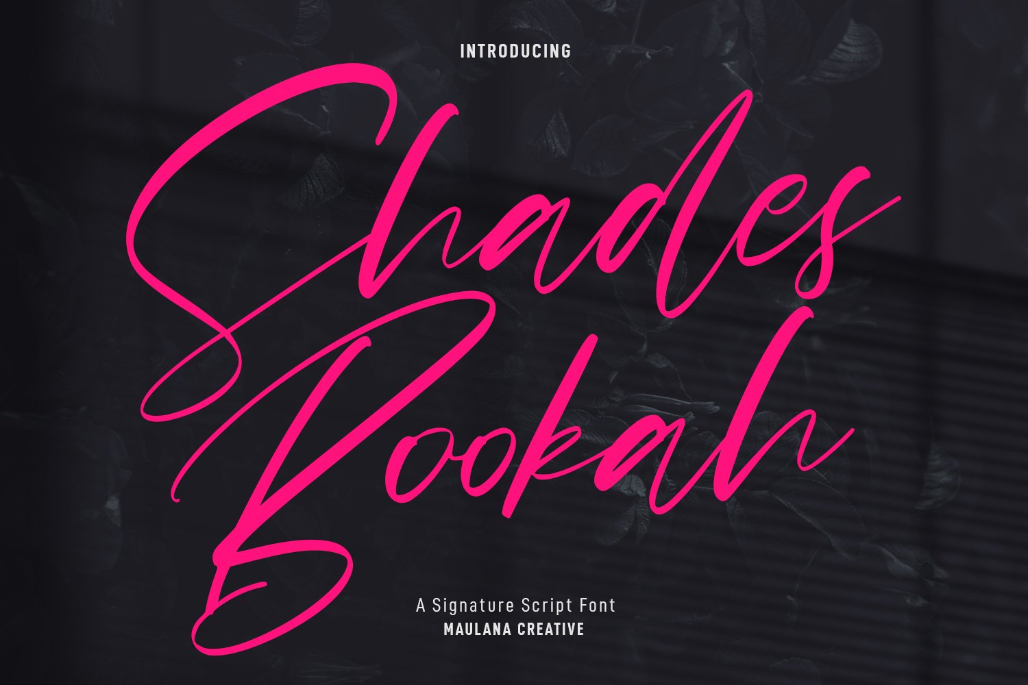 Shades Bookah Script Font cover image.