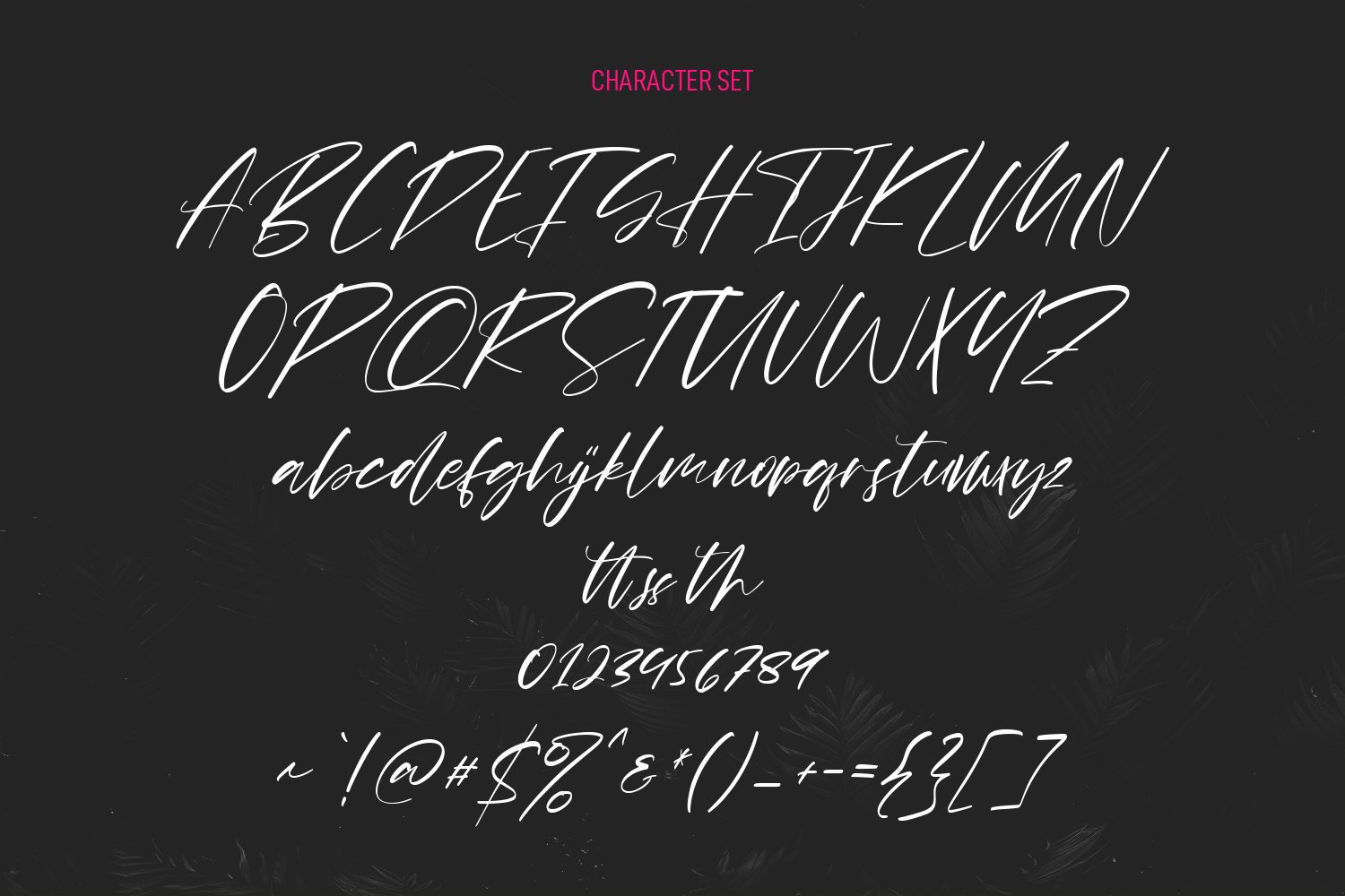 shades bookah script font 8 367