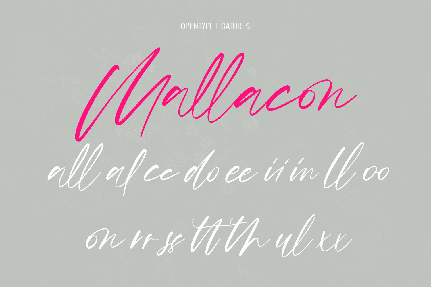 shades bookah script font 9 543